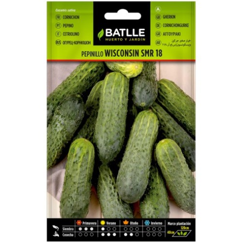 BATLLE SOBRES HORT. PEPINILLO C/10 BATLLE