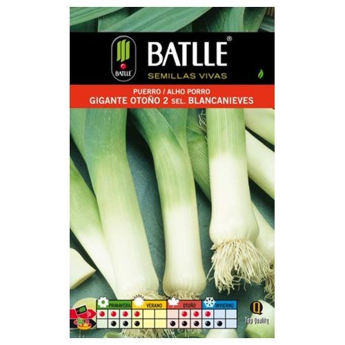 BATLLE SOBRES HORT. PUERRO BLANCANIEVES BATLLE