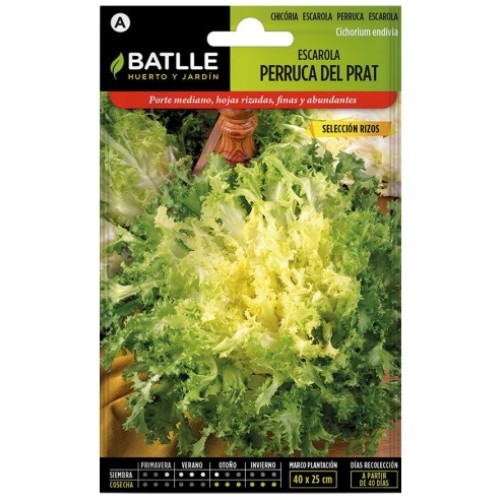 BATLLE SOBRES HORT. ESCAROLA PERRUCA DEL PRAT C/10 BATLLE