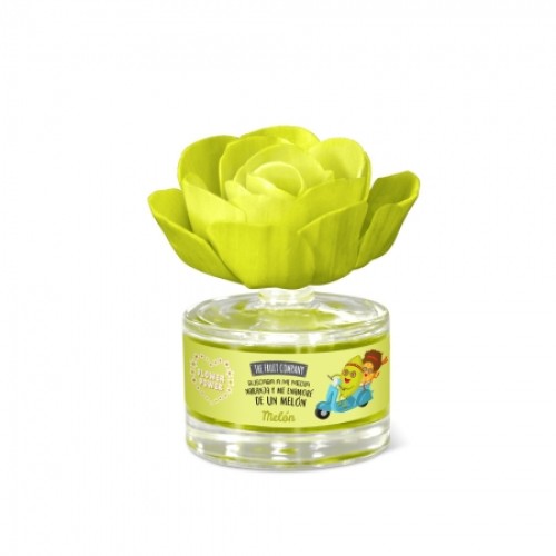 FRUIT COMPANY AMB.FLOR 50ML.MELON C/8
 DESODORANTES AMBIENTE