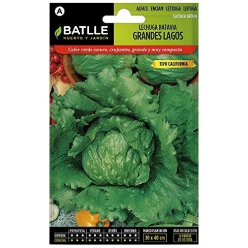 BATLLE SOBRES HORT.LECHUGA GRANDES LAGOS C/10 BATLLE