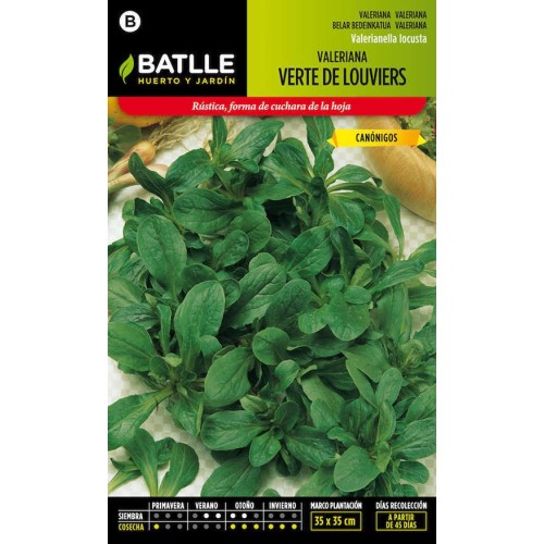BATLLE SOBRES ESP. VALERIANA VERTE (CANONIGOS) /10 BATLLE