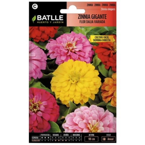 BATLLE SOBRES ESP. ZINNIA GTE. FLOR DALIA BATLLE